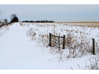 Property photo 26 - AUCTION, 206 Contiguous Acres offered in 5 Tracts